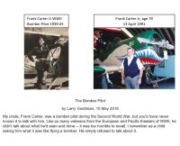 The Bomber Pilot by Larry Vardiman