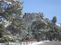 Evergreen,CO-mountain near home where Larry took Michelle and Kelly camping