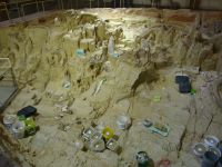 Hot Springs, South Dakota - Mammoth Site Excavation