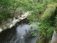 Dallas, Texas - Turtle Creek Park