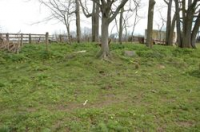 Miles Family Cemetery Shelby County, Kentucky